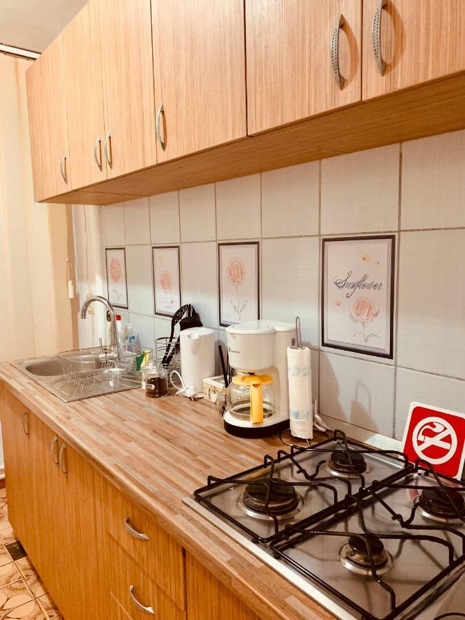 تيميشورا Ultracentral Apartment With All You Need: Wifi, Tv, Ac, Washer, Coffe المظهر الخارجي الصورة