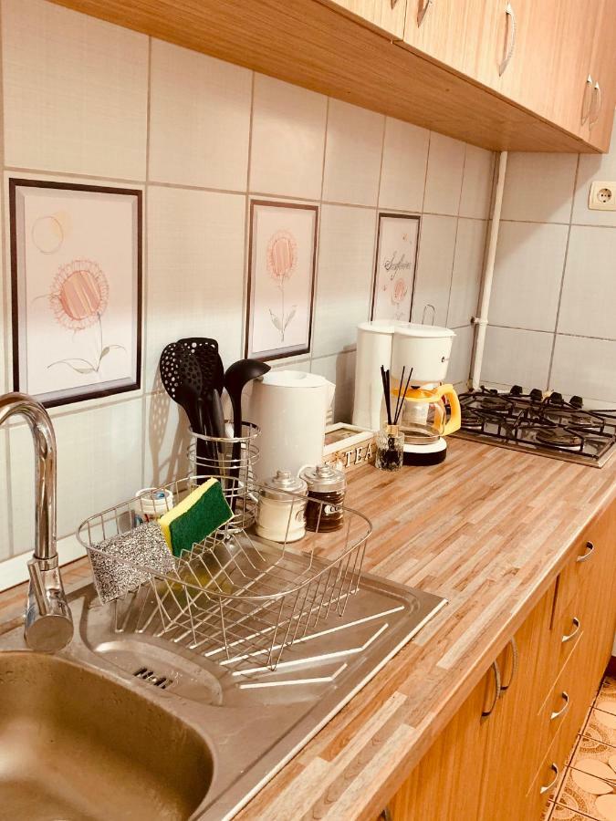 تيميشورا Ultracentral Apartment With All You Need: Wifi, Tv, Ac, Washer, Coffe المظهر الخارجي الصورة