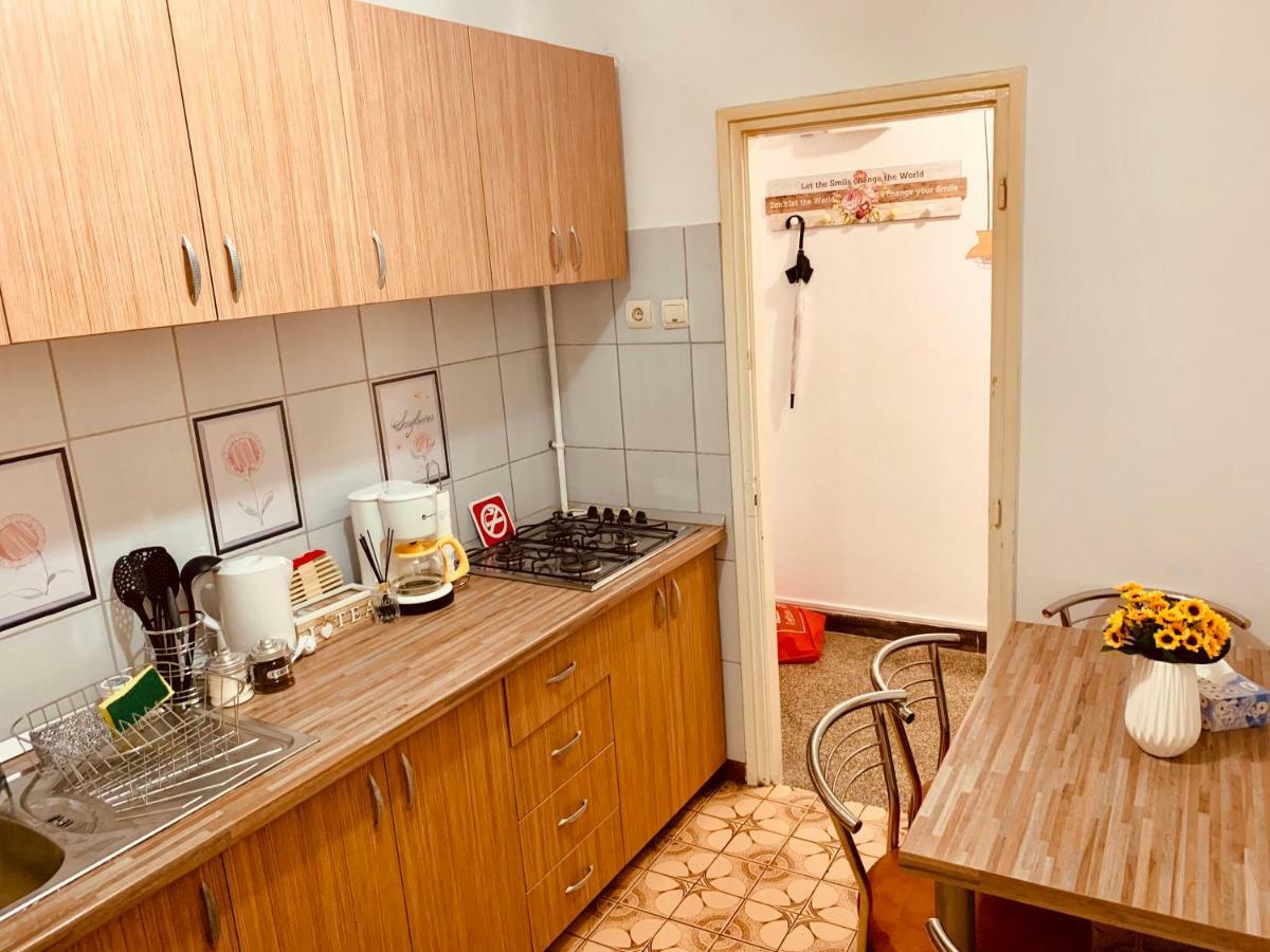 تيميشورا Ultracentral Apartment With All You Need: Wifi, Tv, Ac, Washer, Coffe المظهر الخارجي الصورة